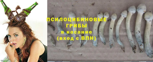 прущая мука Баксан
