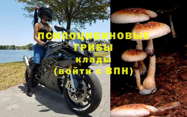 тгк Балахна