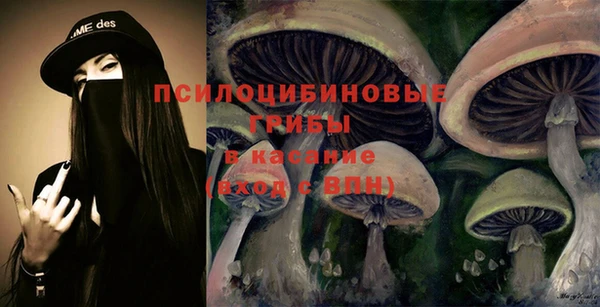 тгк Балахна