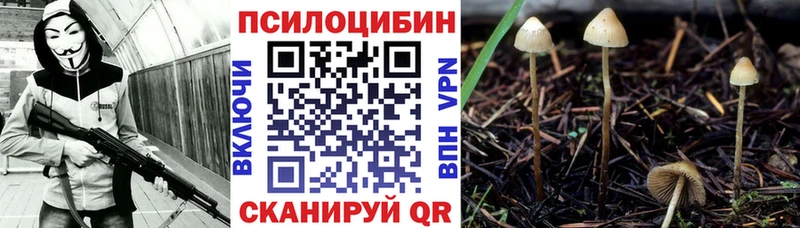 Галлюциногенные грибы мицелий  где купить наркоту  Благодарный 